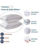 Bed Pillows For Sleeping 2 Pack Luxury Plush Soft Pillow With Home And Hotel Breathable Microfiber Cover Skin Friendly Pillows For Side Back Sleepers